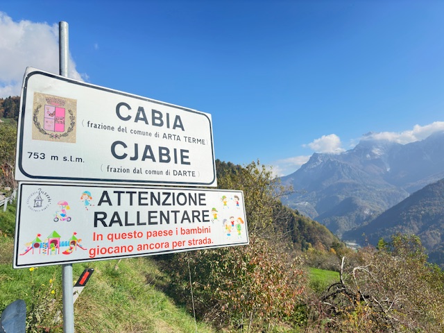 Immagine di Fraz. Arta Terme - Casa in linea